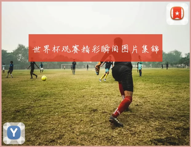 世界杯观赛精彩瞬间图片集锦