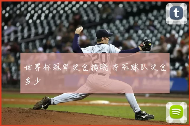 世界杯冠军奖金揭晓 夺冠球队奖金多少