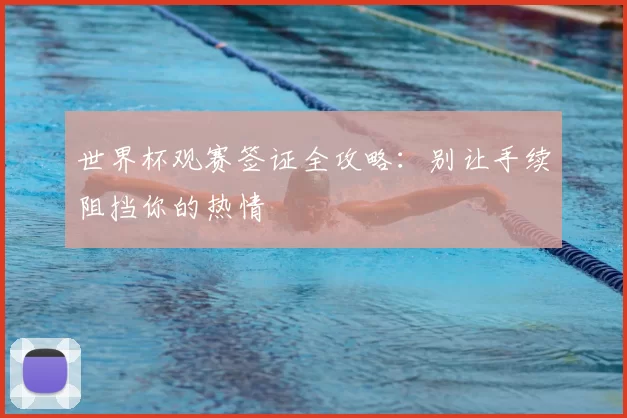 世界杯观赛签证全攻略:别让手续阻挡你的热情