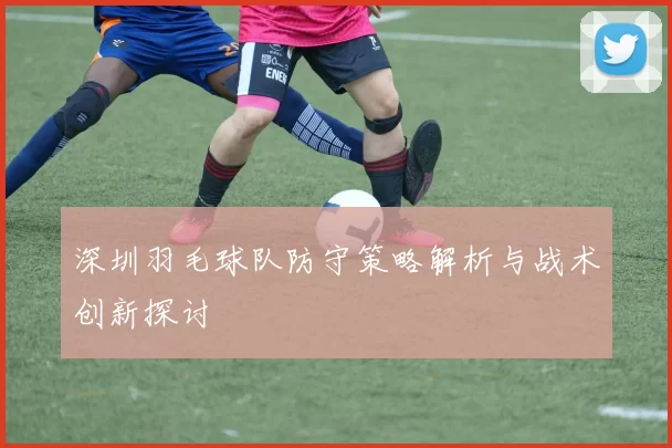 深圳羽毛球队防守策略解析与战术创新探讨