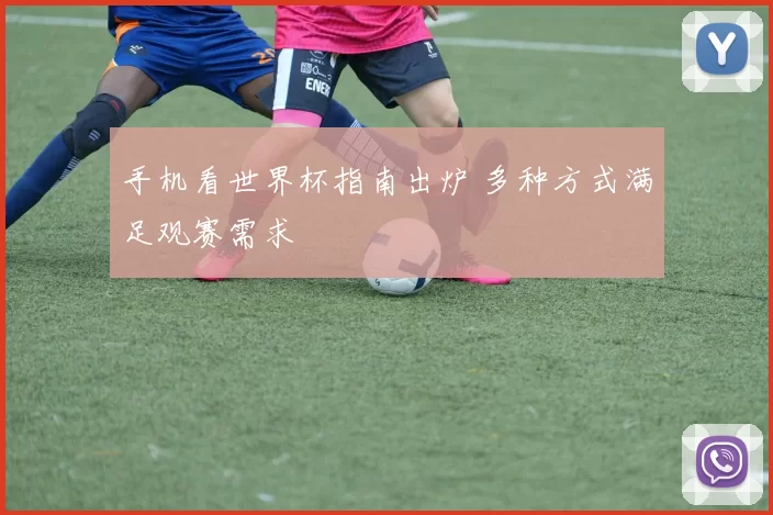 手机看世界杯指南出炉 多种方式满足观赛需求