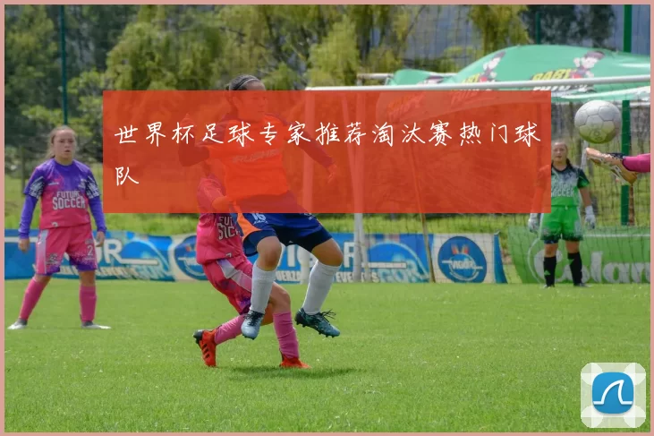 世界杯足球专家推荐淘汰赛热门球队