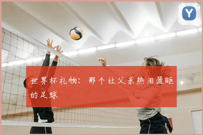 世界杯礼物:那个让父亲热泪盈眶的足球