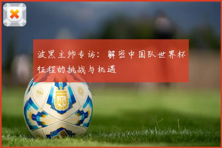 波黑主帅专访:解密中国队世界杯征程的挑战与机遇