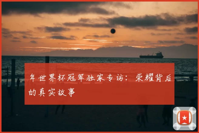 年世界杯冠军独家专访:荣耀背后的真实故事