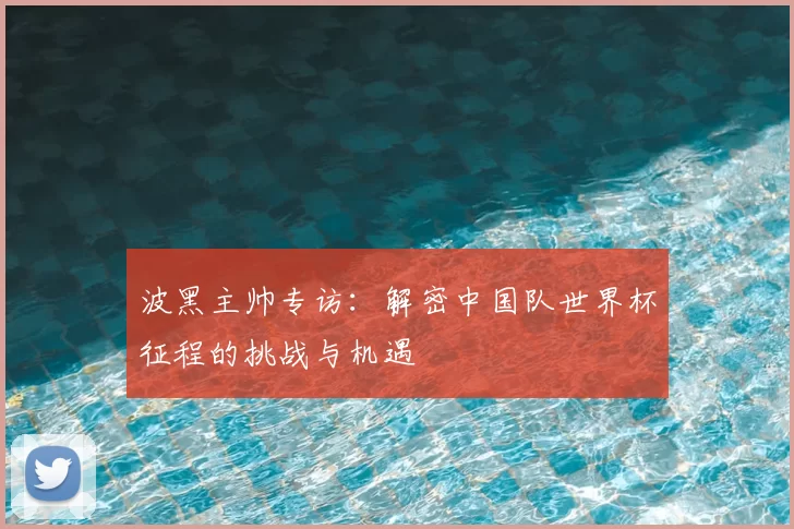 波黑主帅专访:解密中国队世界杯征程的挑战与机遇