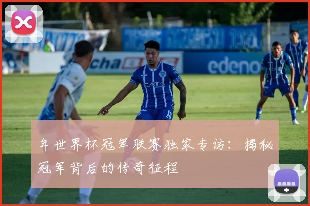 年世界杯冠军联赛独家专访：揭秘冠军背后的传奇征程