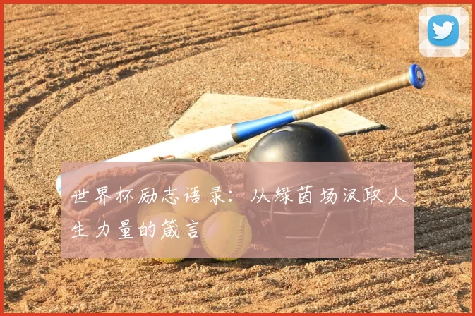 世界杯励志语录：从绿茵场汲取人生力量的箴言