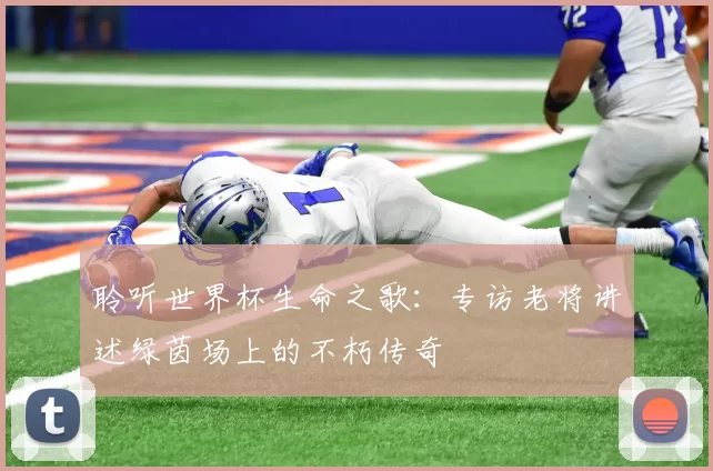 聆听世界杯生命之歌：专访老将讲述绿茵场上的不朽传奇