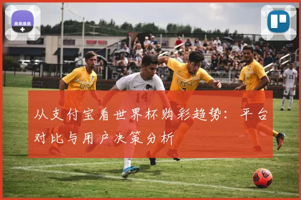 从支付宝看世界杯购彩趋势:平台对比与用户决策分析