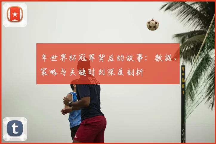 年世界杯冠军背后的故事:数据、策略与关键时刻深度剖析