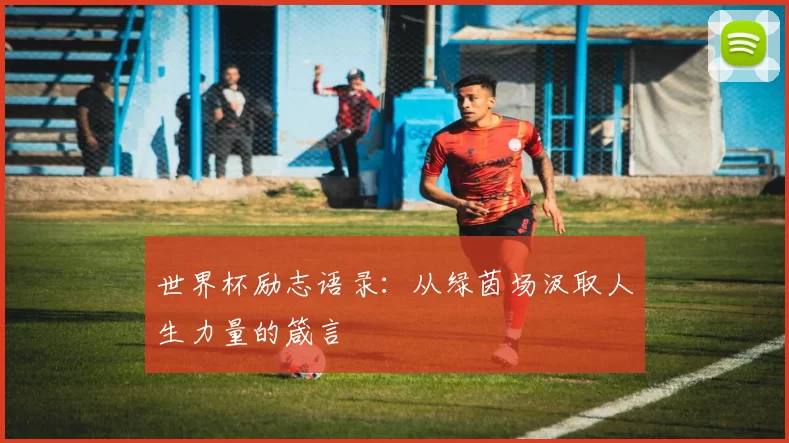 世界杯励志语录：从绿茵场汲取人生力量的箴言