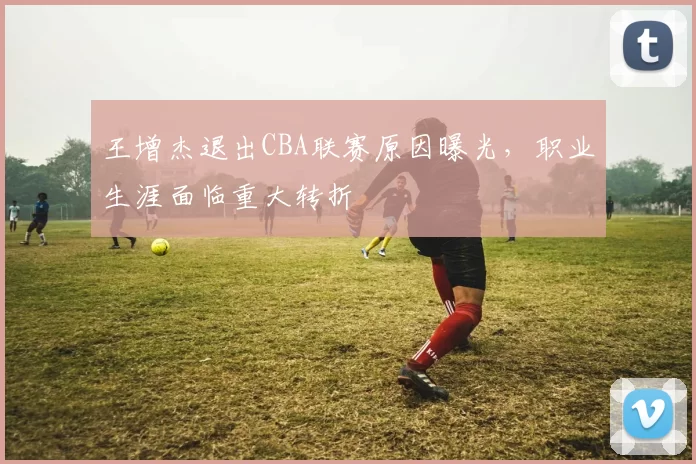 王增杰退出CBA联赛原因曝光,职业生涯面临重大转折