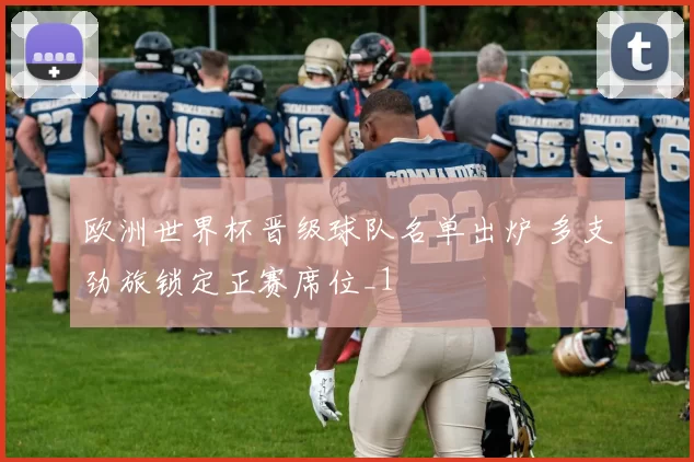 欧洲世界杯晋级球队名单出炉 多支劲旅锁定正赛席位_1