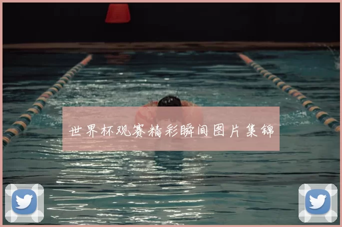 世界杯观赛精彩瞬间图片集锦